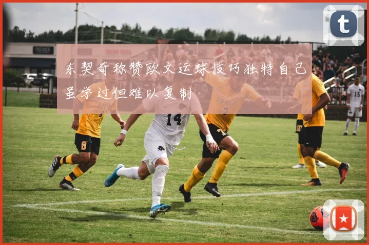 东契奇称赞欧文运球技巧独特自己虽学过但难以复制